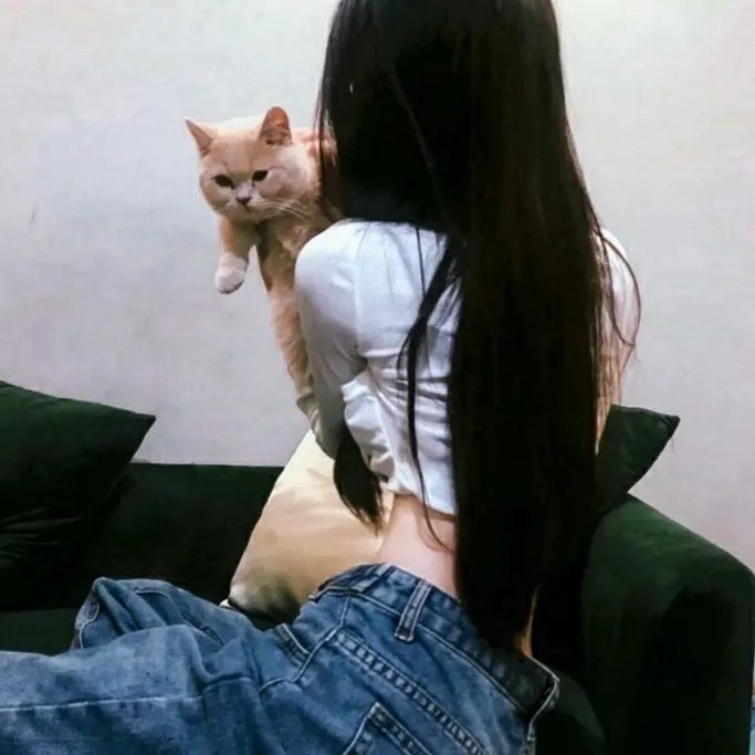 2019:纽约陷落之后